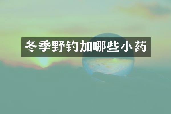 冬季野钓加哪些小药