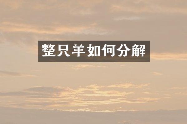整只羊如何分解