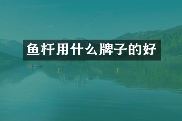 鱼杆用什么牌子的好
