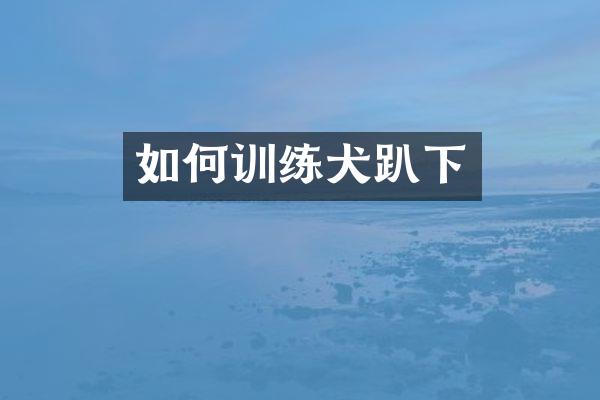 如何训练犬趴下