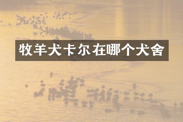 牧羊犬卡尔在哪个犬舍