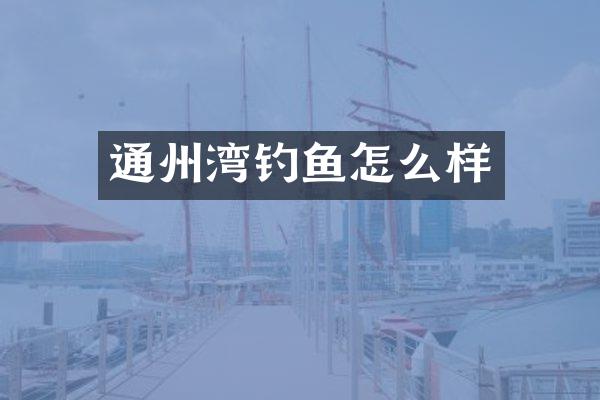 通州湾钓鱼怎么样