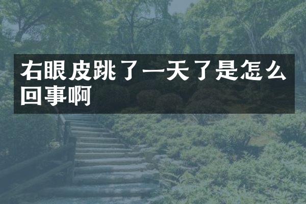 右眼皮跳了一天了是怎么回事啊