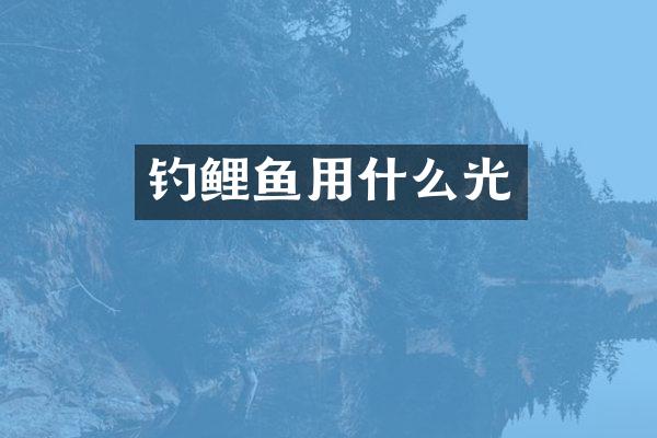 钓鲤鱼用什么光