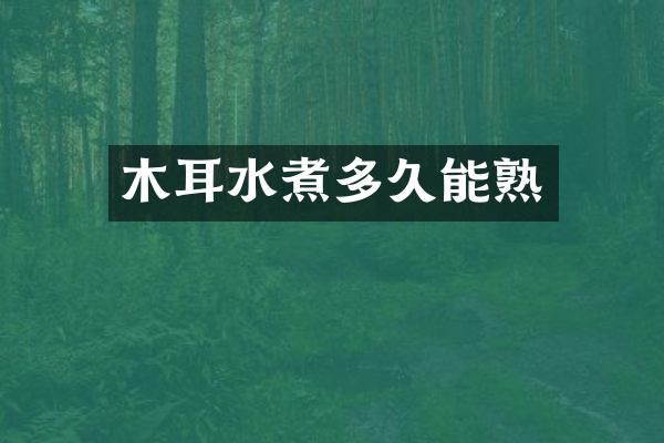 木耳水煮多久能熟