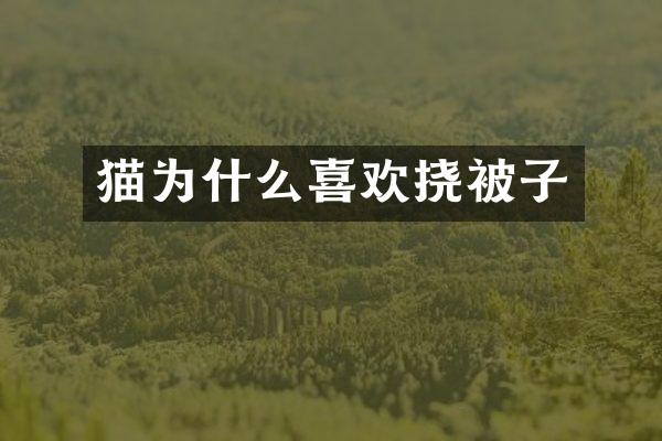 猫为什么喜欢挠被子