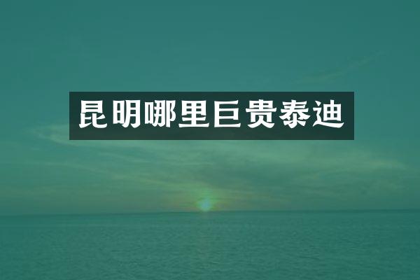 昆明哪里巨贵泰迪