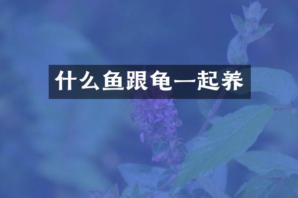 什么鱼跟龟一起养