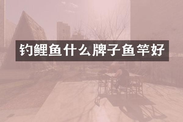 钓鲤鱼什么牌子鱼竿好