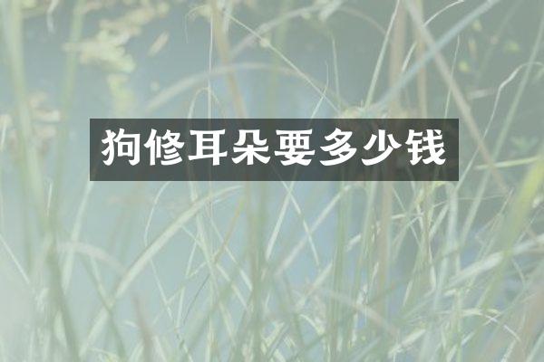 狗修耳朵要多少钱