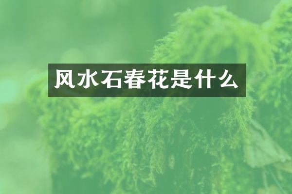 风水石春花是什么