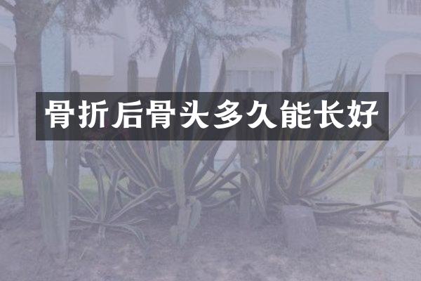 骨折后骨头多久能长好