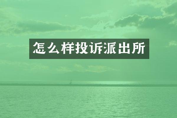 怎么样投诉派出所