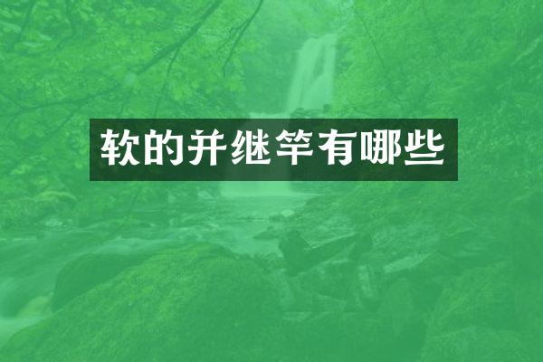 软的并继竿有哪些