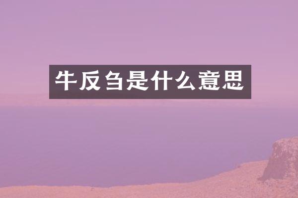 牛反刍是什么意思