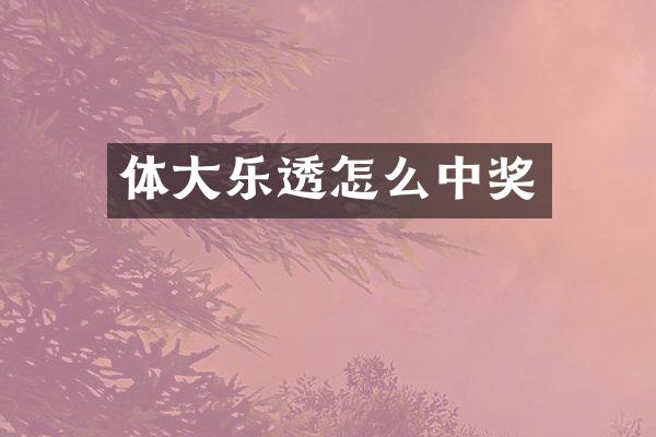 体大乐透怎么中奖