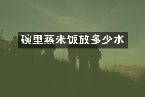碗里蒸米饭放多少水