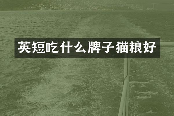 英短吃什么牌子猫粮好