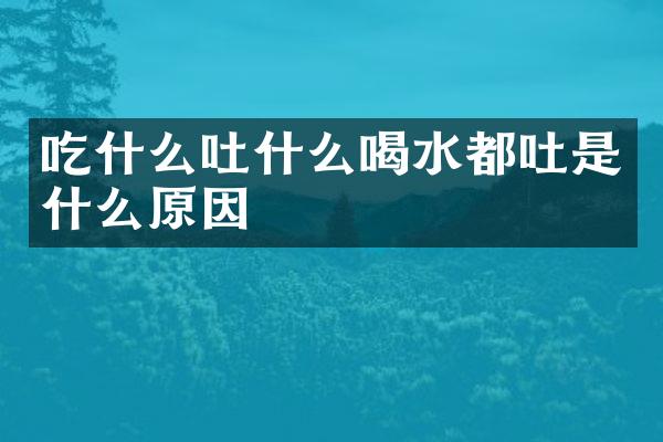 吃什么吐什么喝水都吐是什么原因