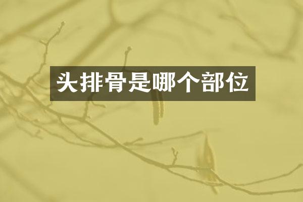 头排骨是哪个部位