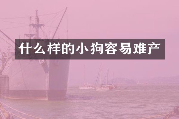 什么样的小狗容易难产