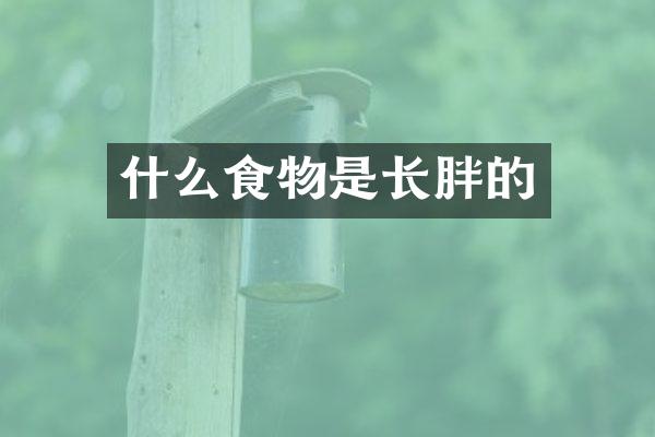 什么食物是长胖的