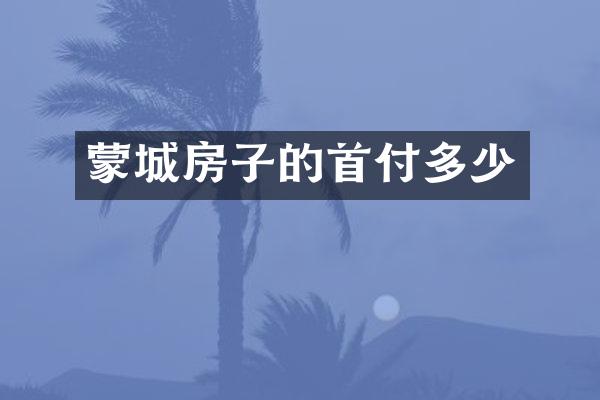 蒙城房子的首付多少