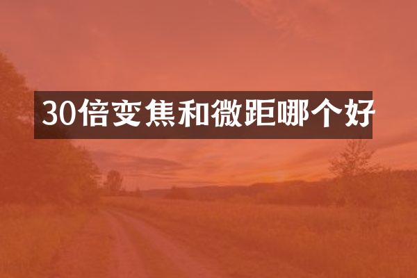 30倍变焦和微距哪个好