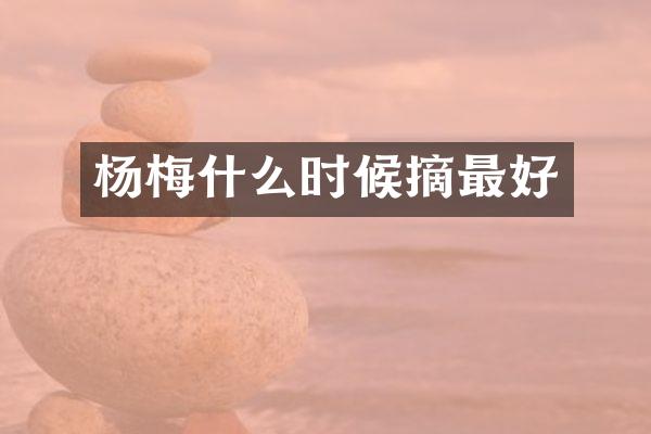杨梅什么时候摘最好