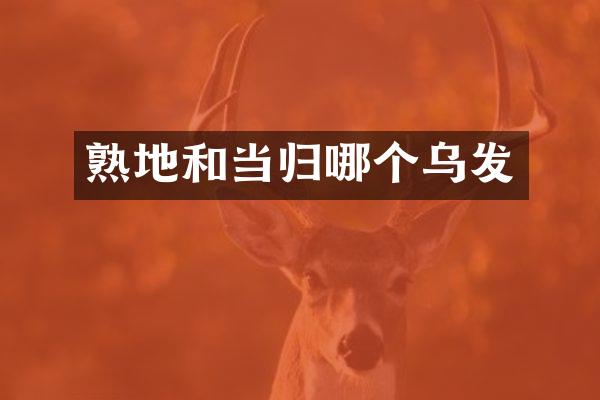 熟地和当归哪个乌发