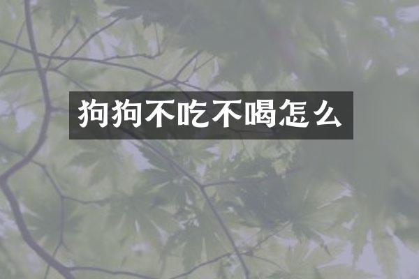 狗狗不吃不喝怎么