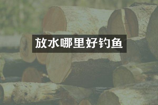放水哪里好钓鱼