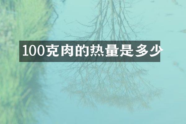 100克肉的热量是多少