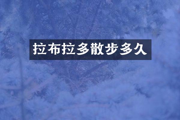 拉布拉多散步多久