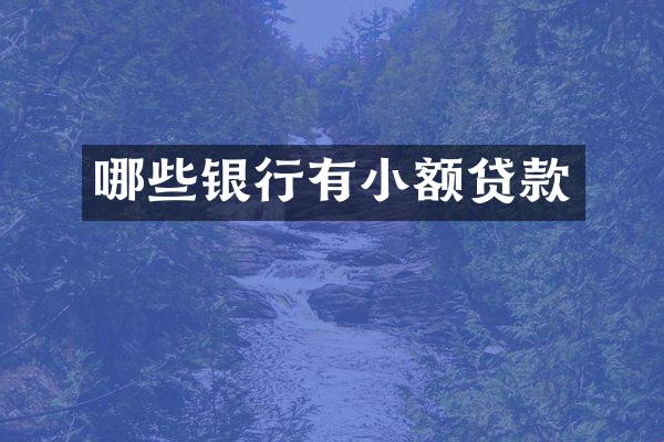哪些银行有小额贷款