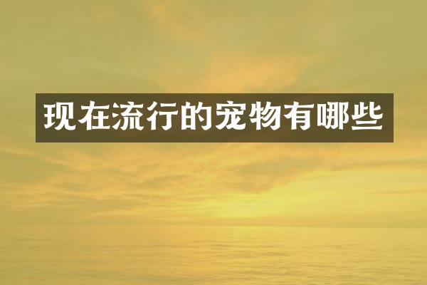 现在流行的宠物有哪些