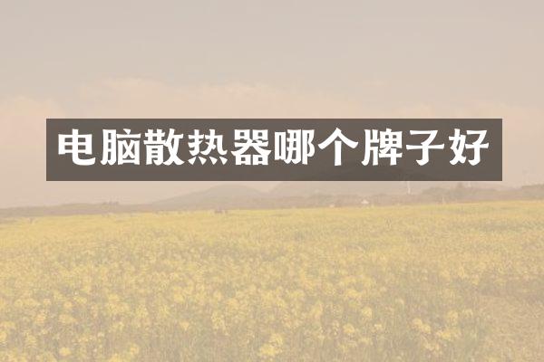 电脑散热器哪个牌子好