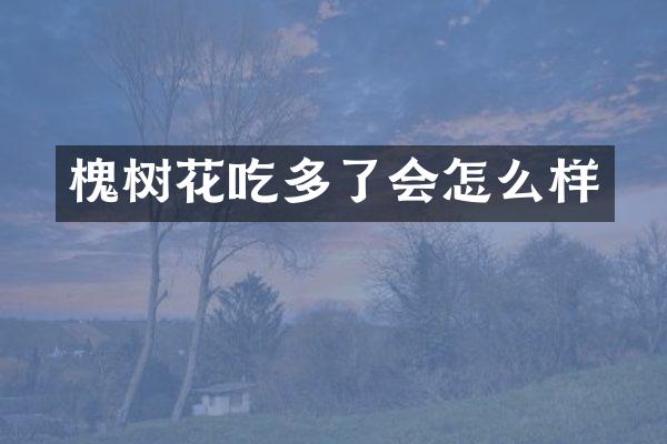 槐树花吃多了会怎么样