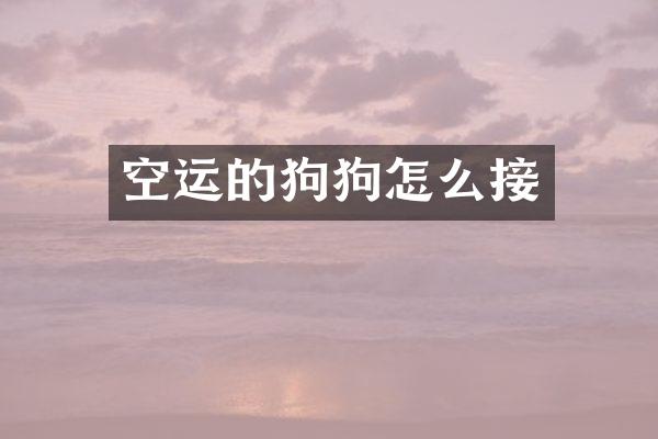 空运的狗狗怎么接