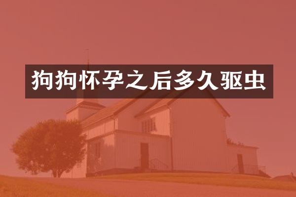 狗狗怀孕之后多久驱虫