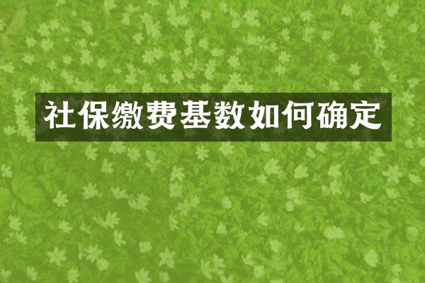 社保缴费基数如何确定