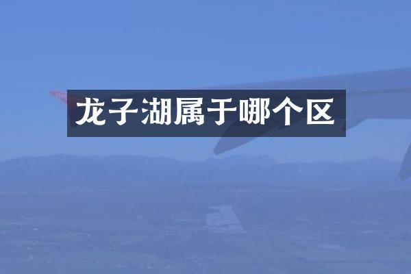 龙子湖属于哪个区