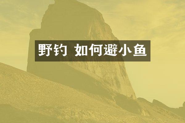 野钓 如何避小鱼