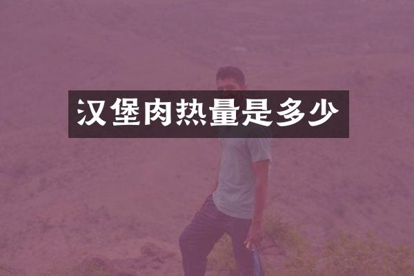 汉堡肉热量是多少