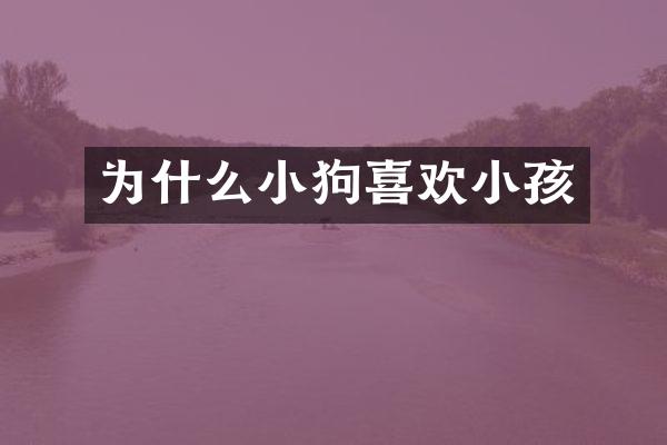 为什么小狗喜欢小孩