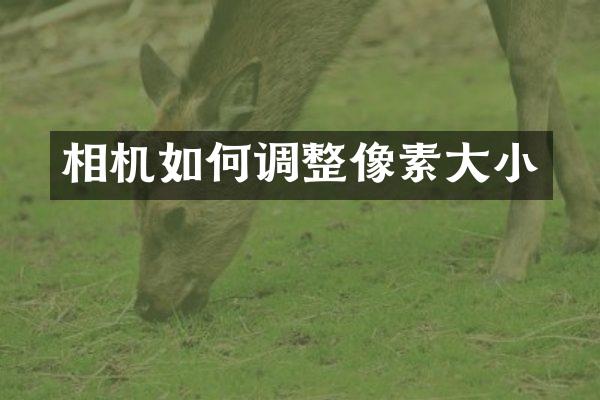相机如何调整像素大小