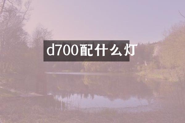 d700灯