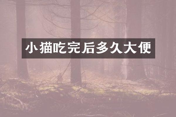 小猫吃完后多久大便