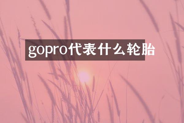 gopro代表什么轮胎