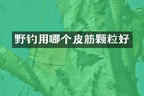 野钓用哪个皮筋颗粒好